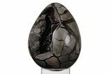 Septarian Dragon Egg Geode - Black Crystals #219099-2